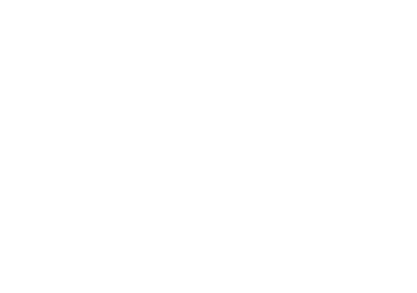 Bella Vista Wanders logo